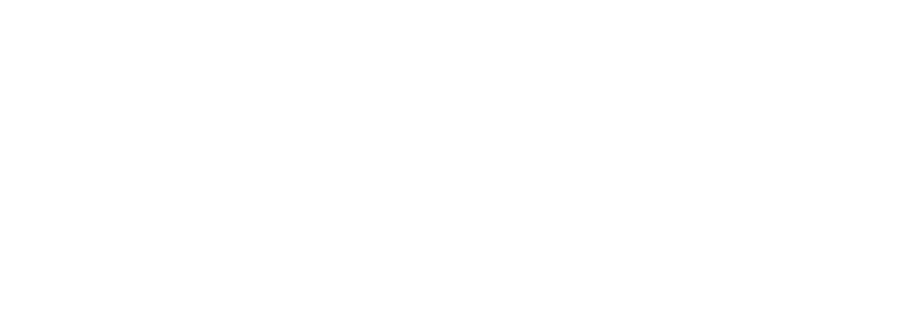 White logo - no background