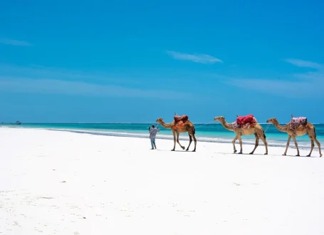 Diani-Beach-2-scaled Diani-Beach-2-scaled