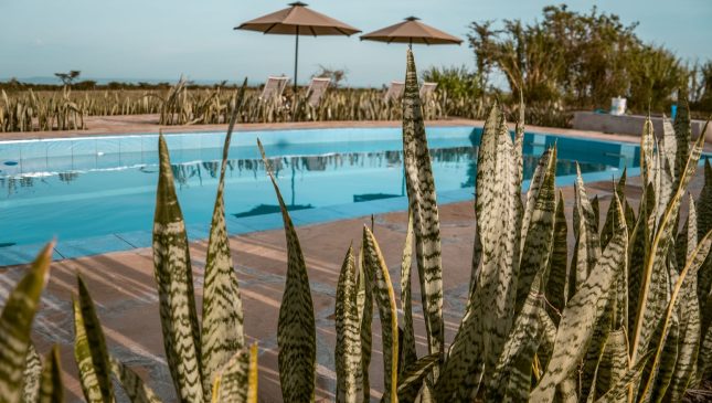 IM_KE_MAR_Zebra-Plains-Mara-Camp_Pool