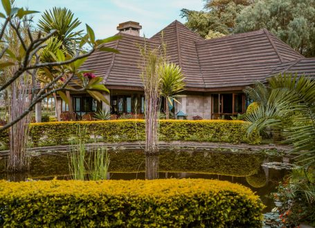 IM_KE_NVS_Lake-Naivasha-Simba-Lodge_outside-of-building IM_KE_NVS_Lake-Naivasha-Simba-Lodge_outside-of-building