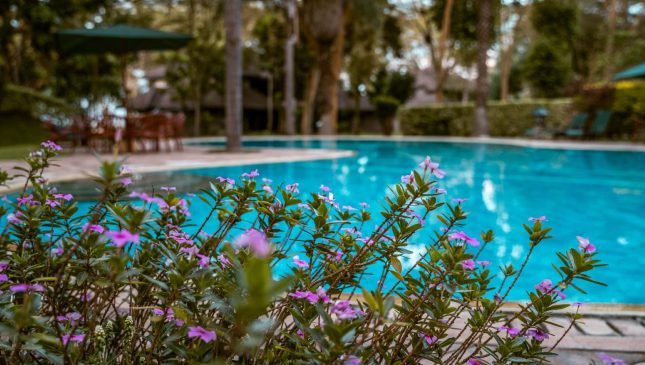 IM_KE_NVS_Lake-Naivasha-Simba-Lodge_pool
