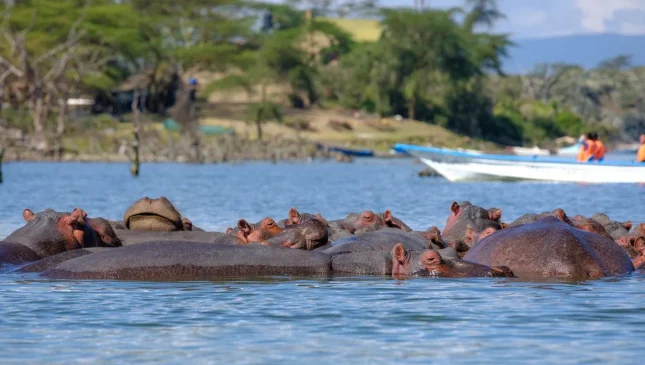 Lake-Naivasha_Hero-Banner