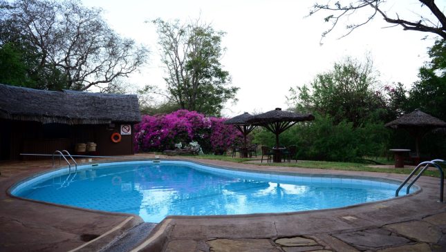 Swimming-Pool-1-scaled