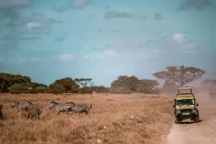 kenya-zebra-jeep-1024x682