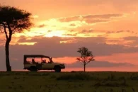 maasai-mara-7-e1651839668898-1024x361