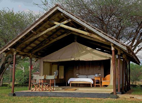tent-1 tent-1