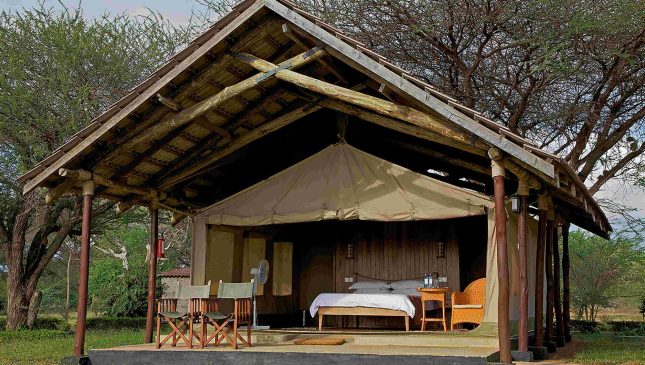 tent-1